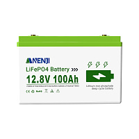 Anenji 12V 100Ah ANJ-12V-100AH-S (LiFePo4, BMS, Bluetooth)